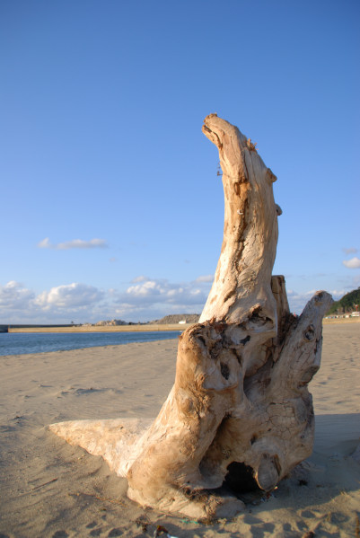 D80DSC_0124a.jpg