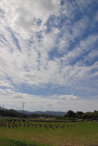D80DSC_0249a.jpg