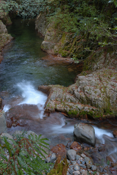 D80DSC_0737b.jpg