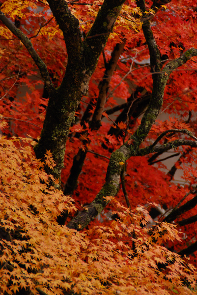 D80DSC_1038a.jpg