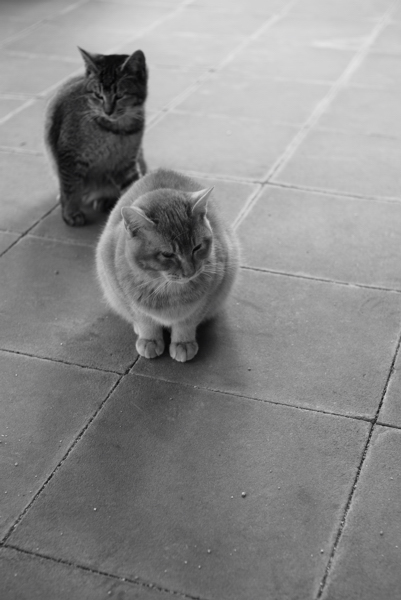 D80DSC_1402a.jpg