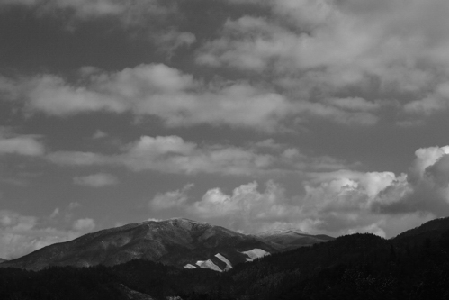 D80DSC_1615a.jpg