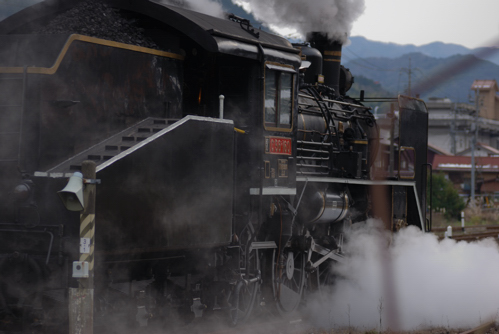 D80DSC_1695a.jpg