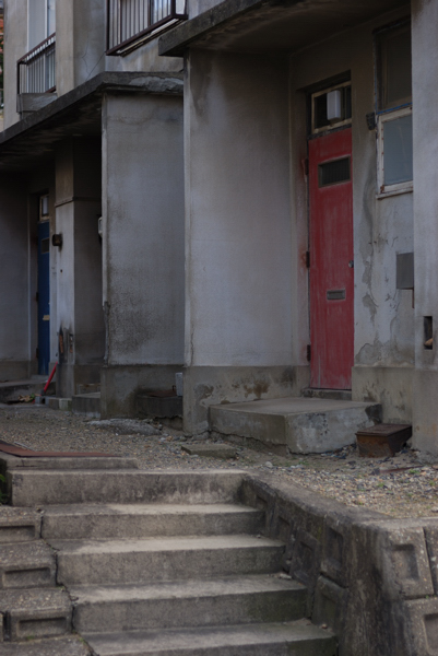 D80DSC_1986b.jpg