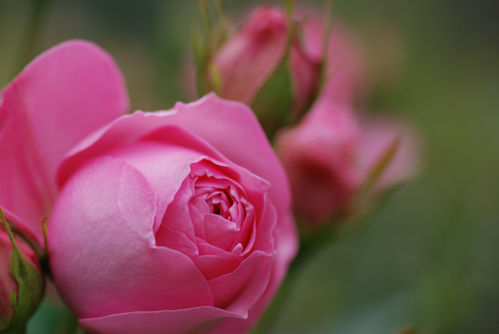 D80DSC_3183a.jpg