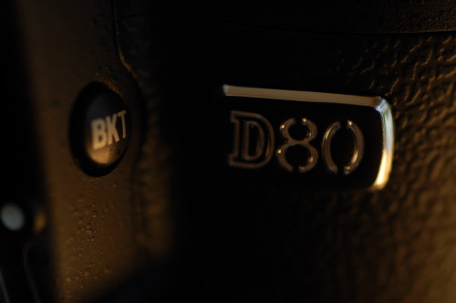 DSC_3530b.jpg