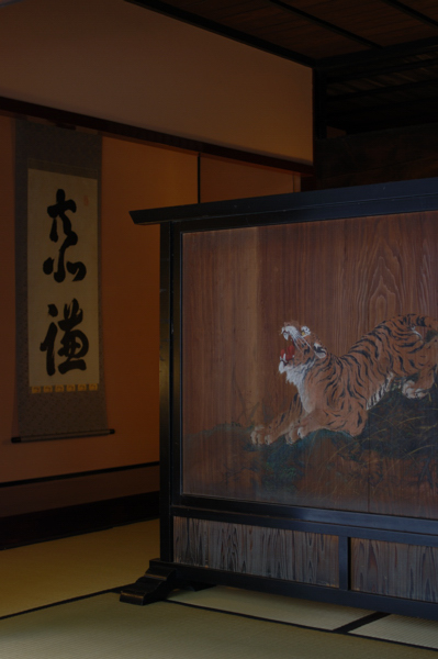 DSC_3849a.jpg