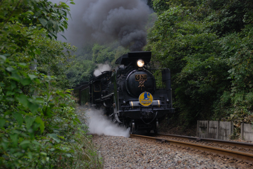 DSC_4045c.jpg