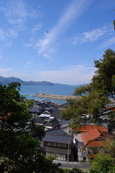 DSC_4365a.jpg