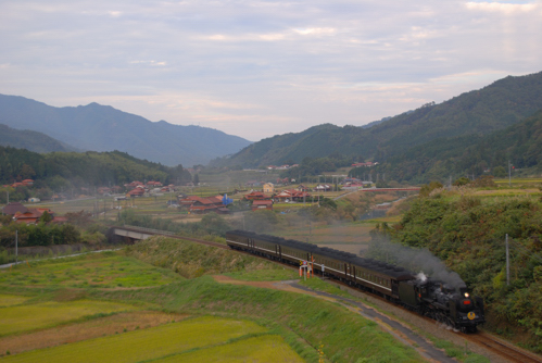 DSC_4409a.jpg