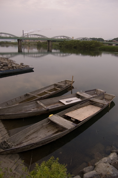 DSC_9520a.jpg