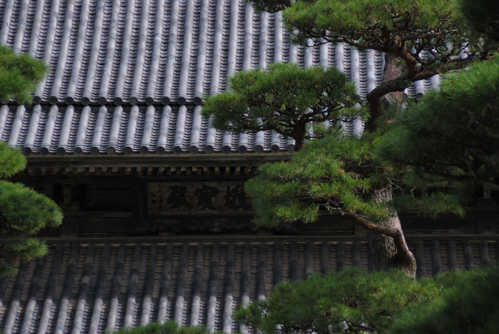 D80DSC_0298a.jpg