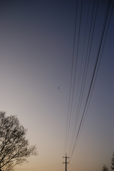 D80DSC_3272a.jpg