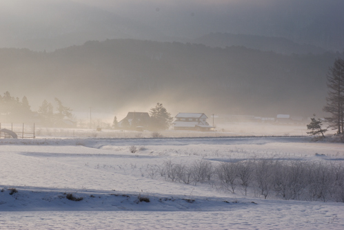 DSC_4436a.jpg