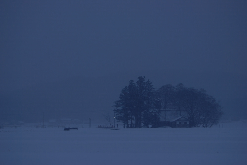 DSC_4492a.jpg