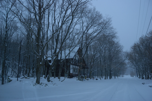 DSC_4500a.jpg
