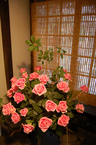 DSC_9260a.jpg
